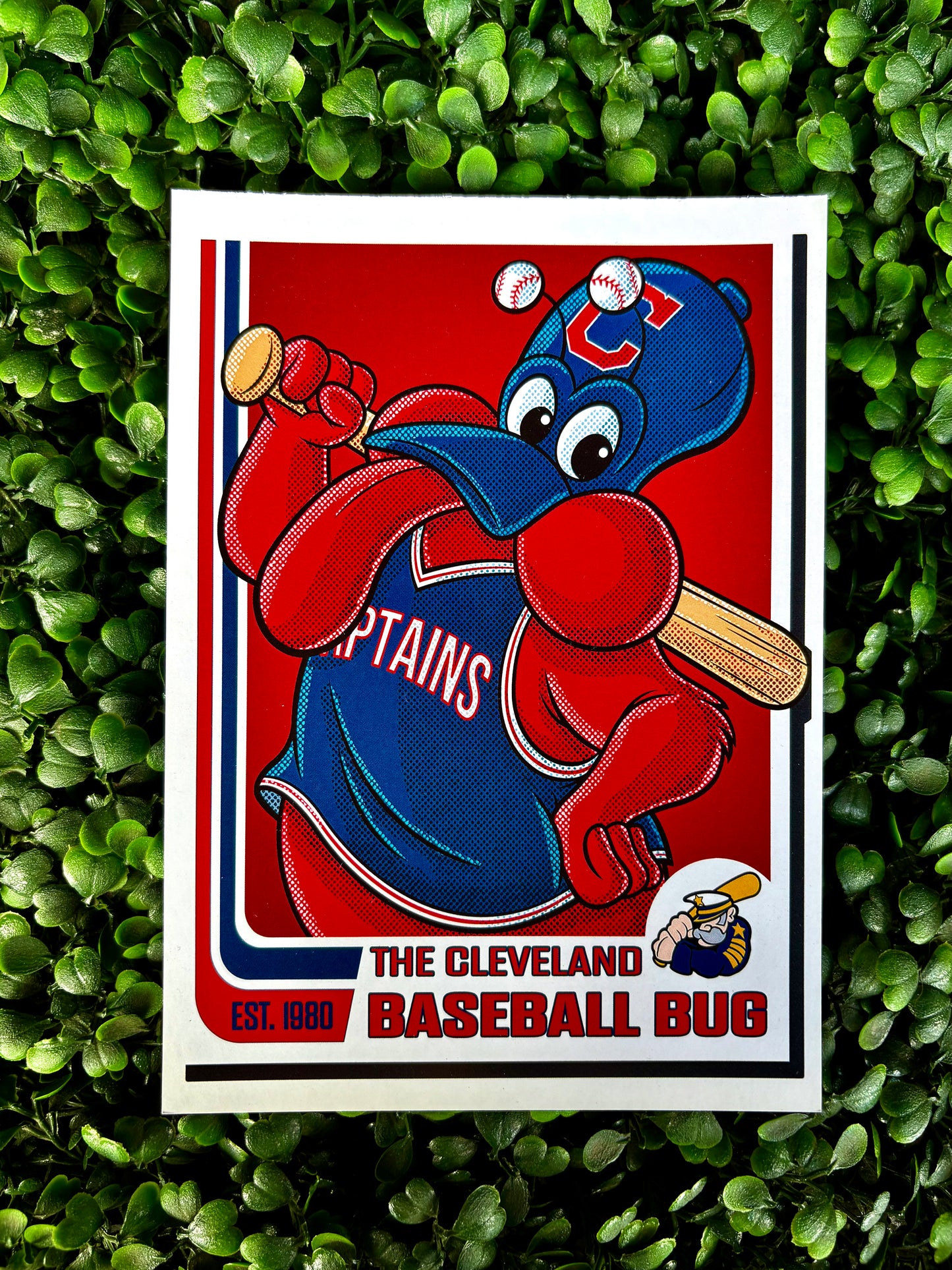 Mascot Trading Cards