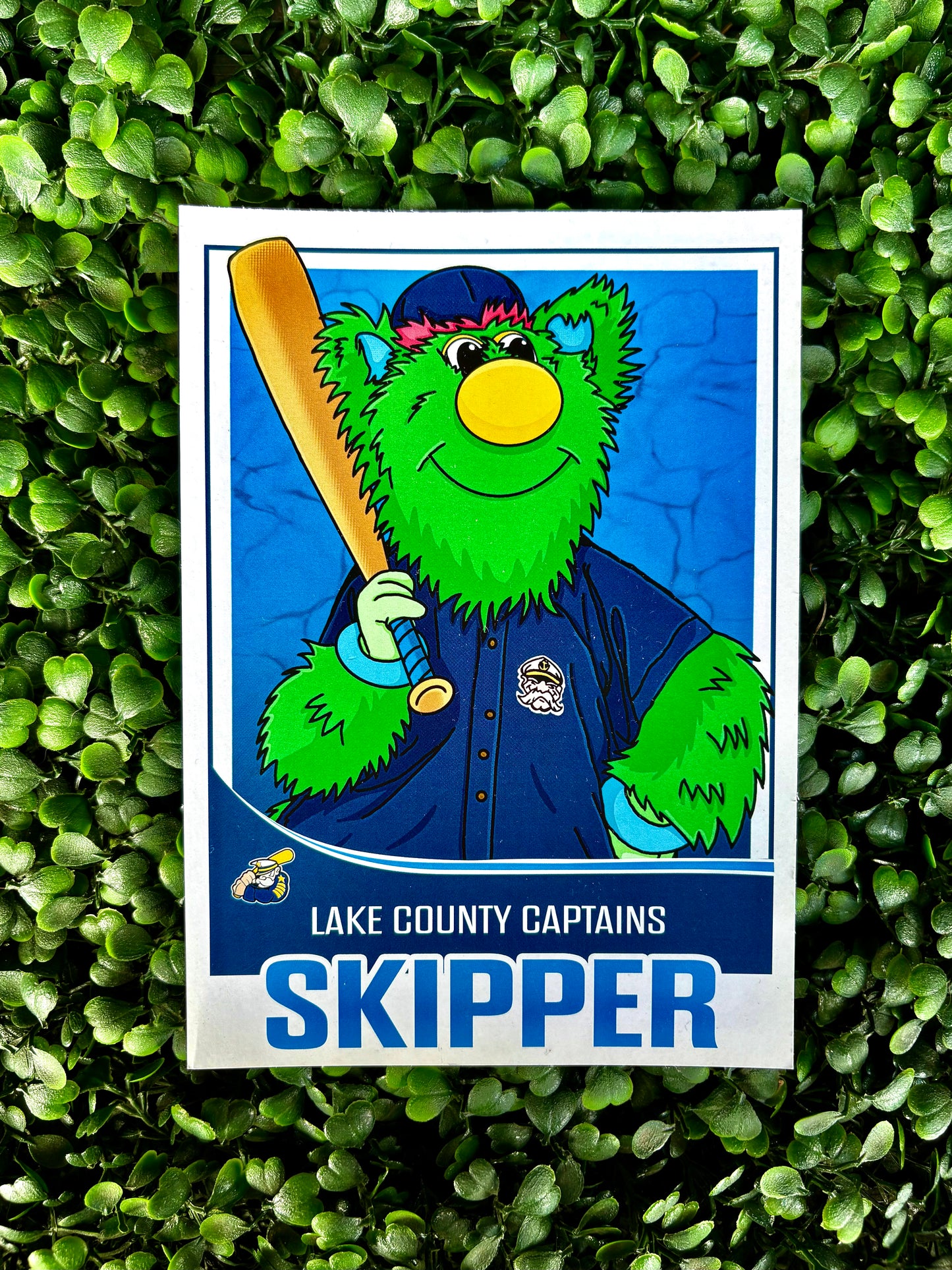 Mascot Trading Cards