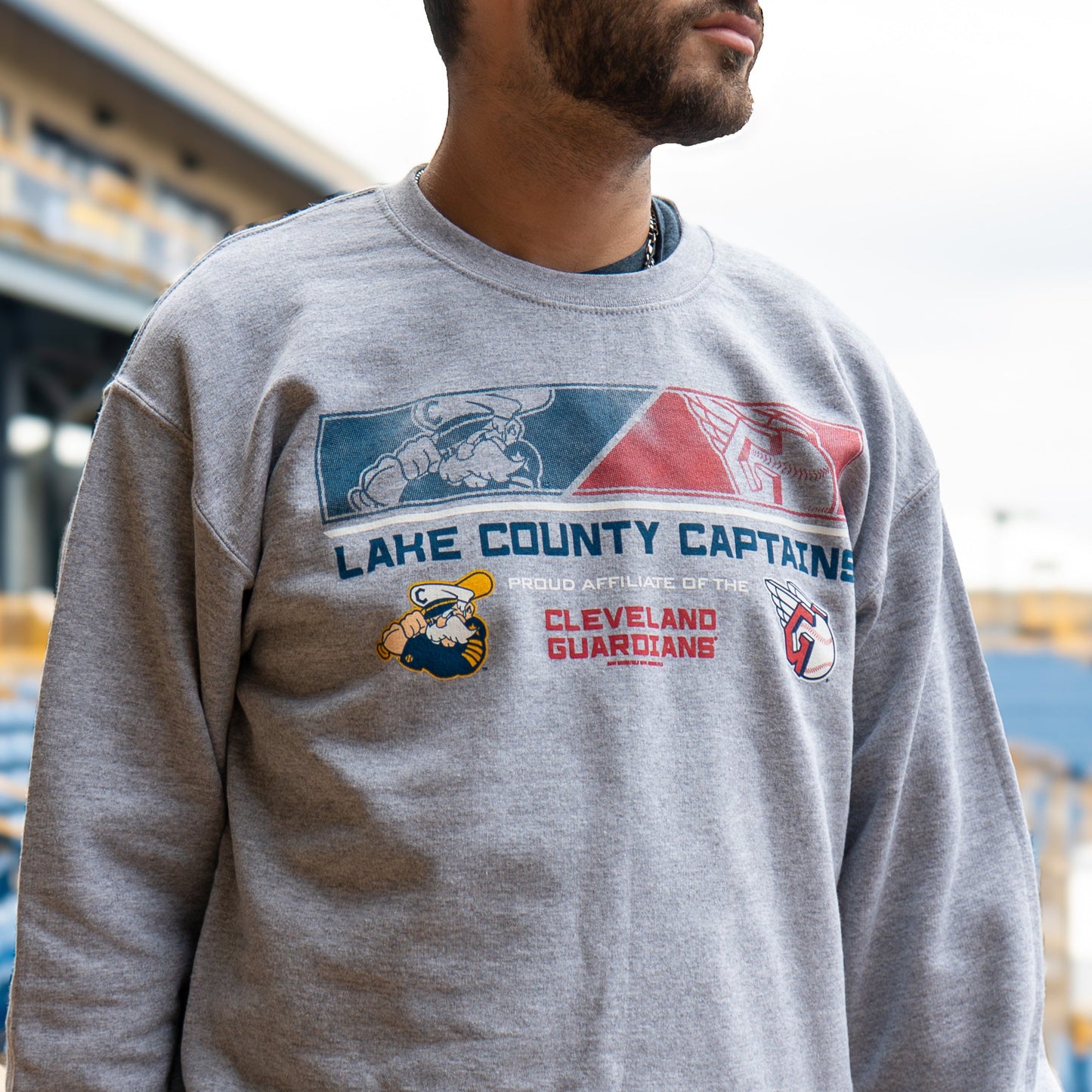 Guardians Affiliate Crewneck - Gray
