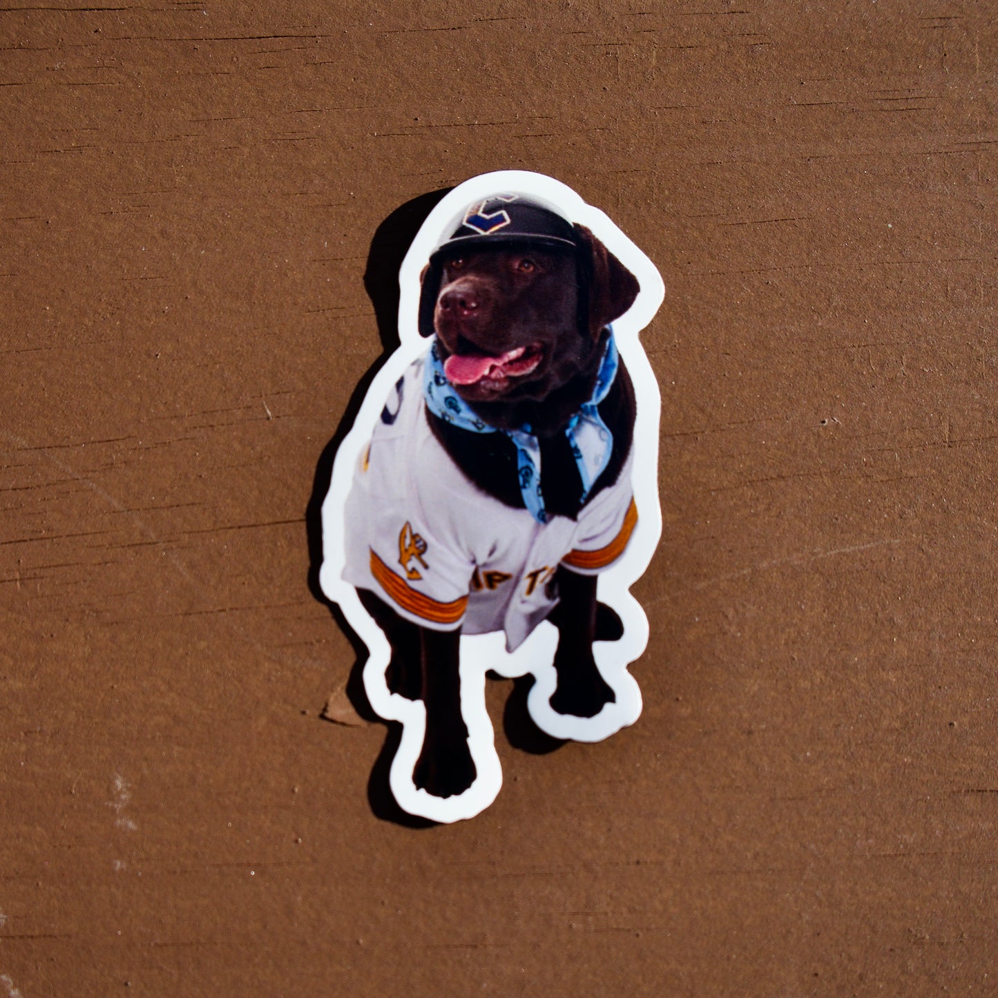 Mokoro Magnet