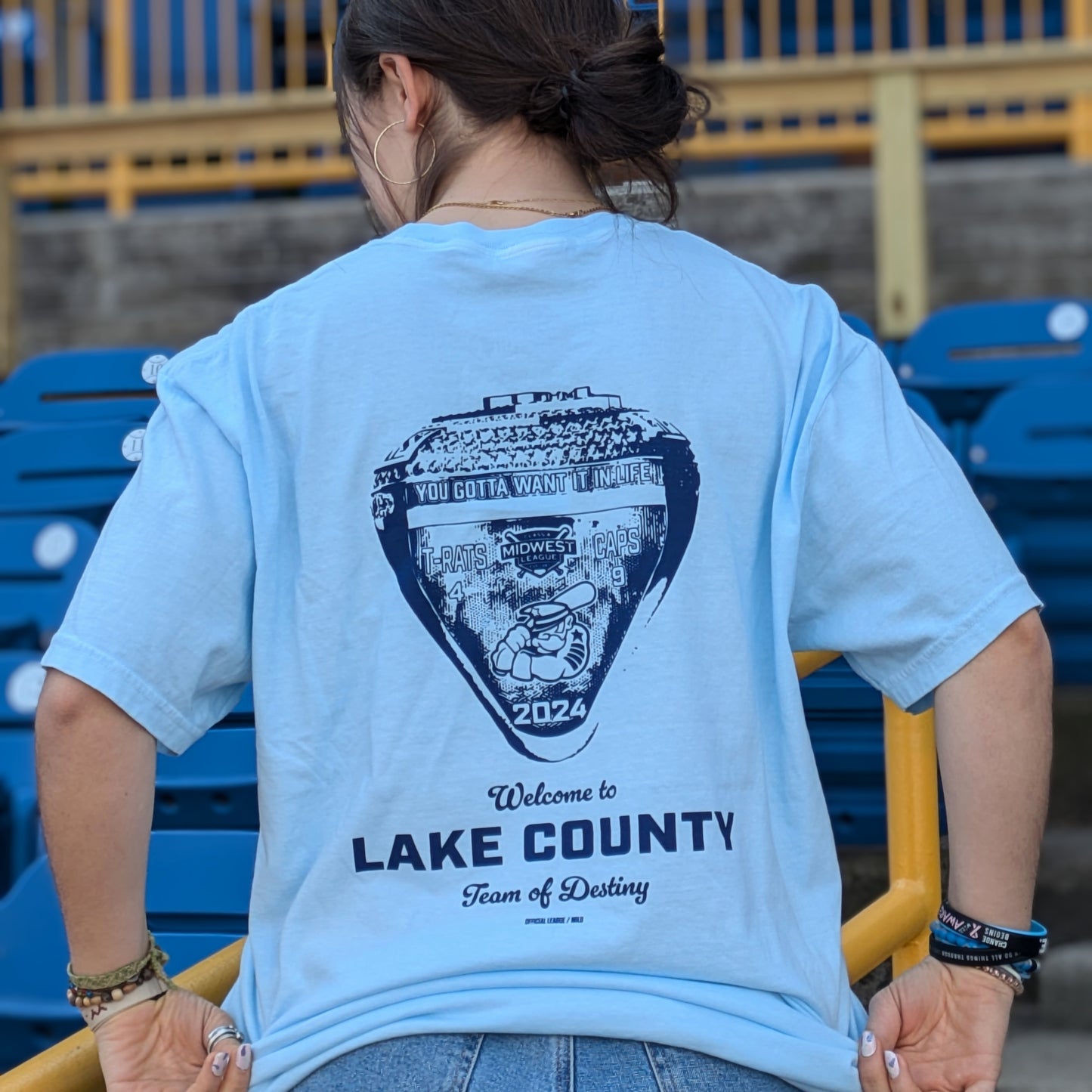 Official League x Lake County Captains 2024 Champions Team of Destiny T-Shirt