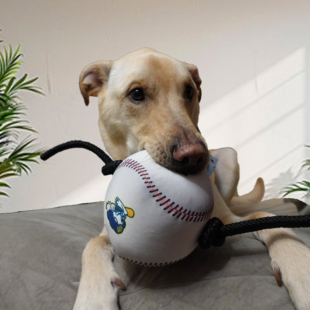 Lake County Captains Pet Baseball Tug Toy