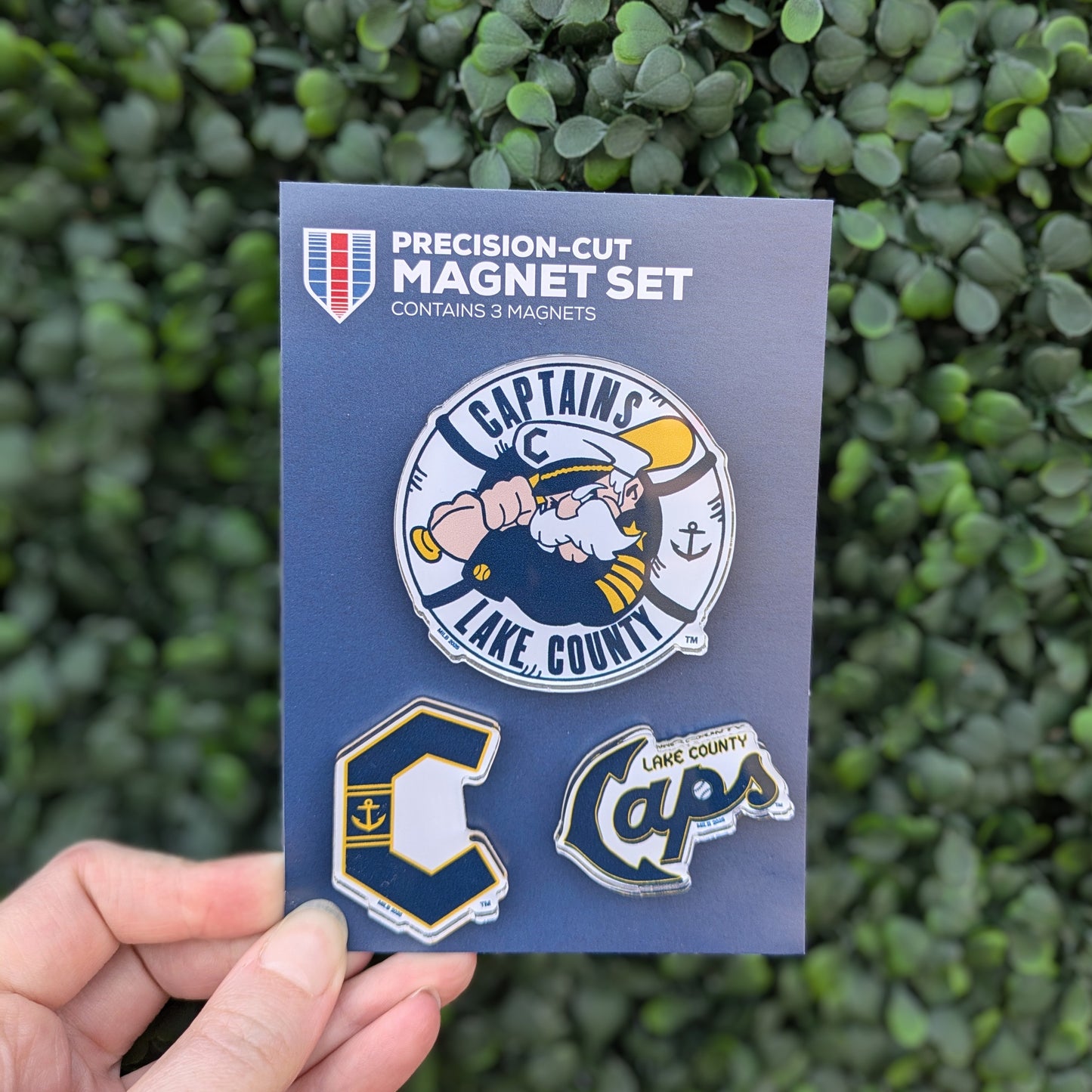 Lake County Captains 3-Pack Magnet Set