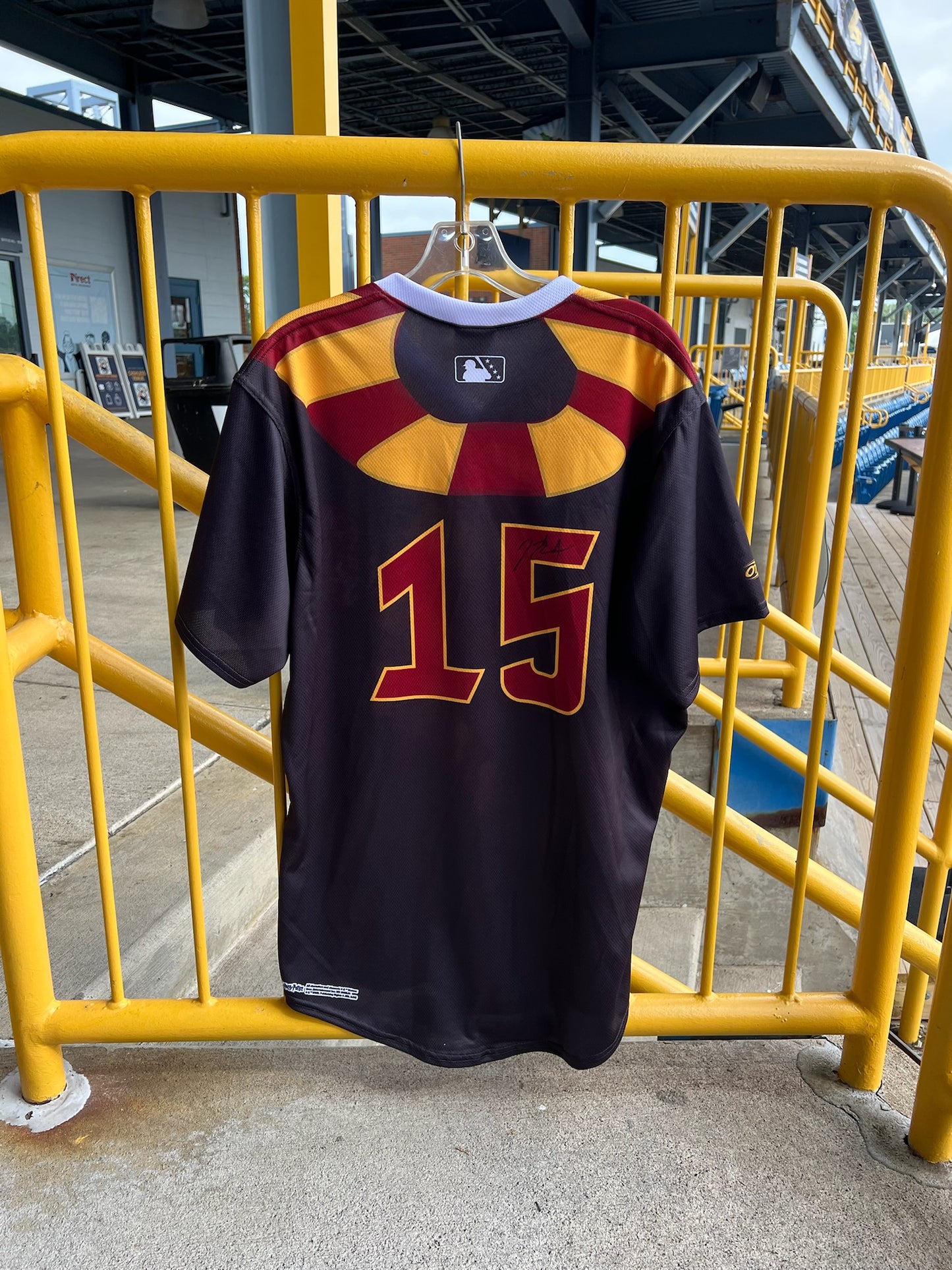 Game Worn Harry Potter Jersey 2025