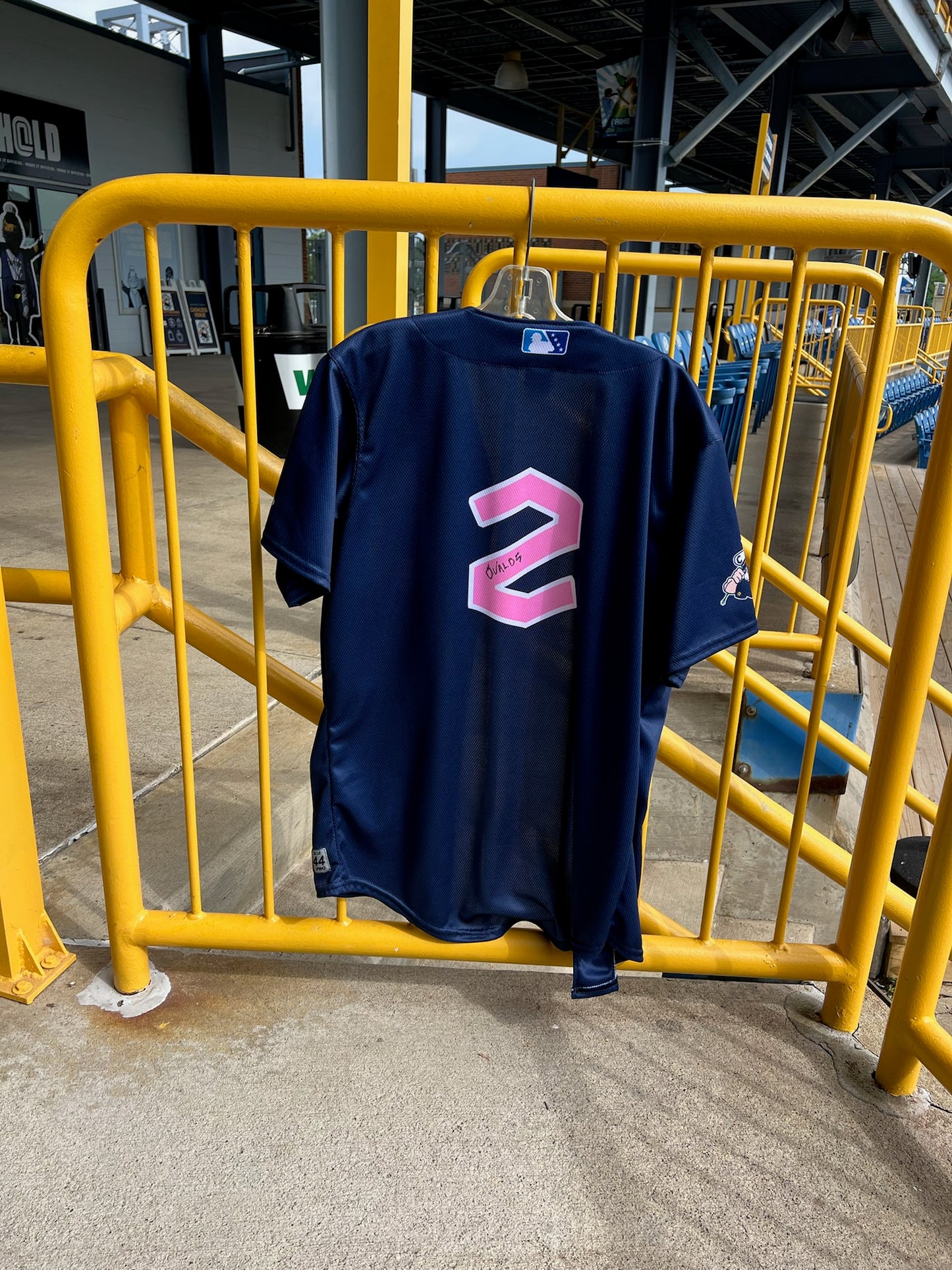 Game Worn Mother's Day Jersey - May 2025