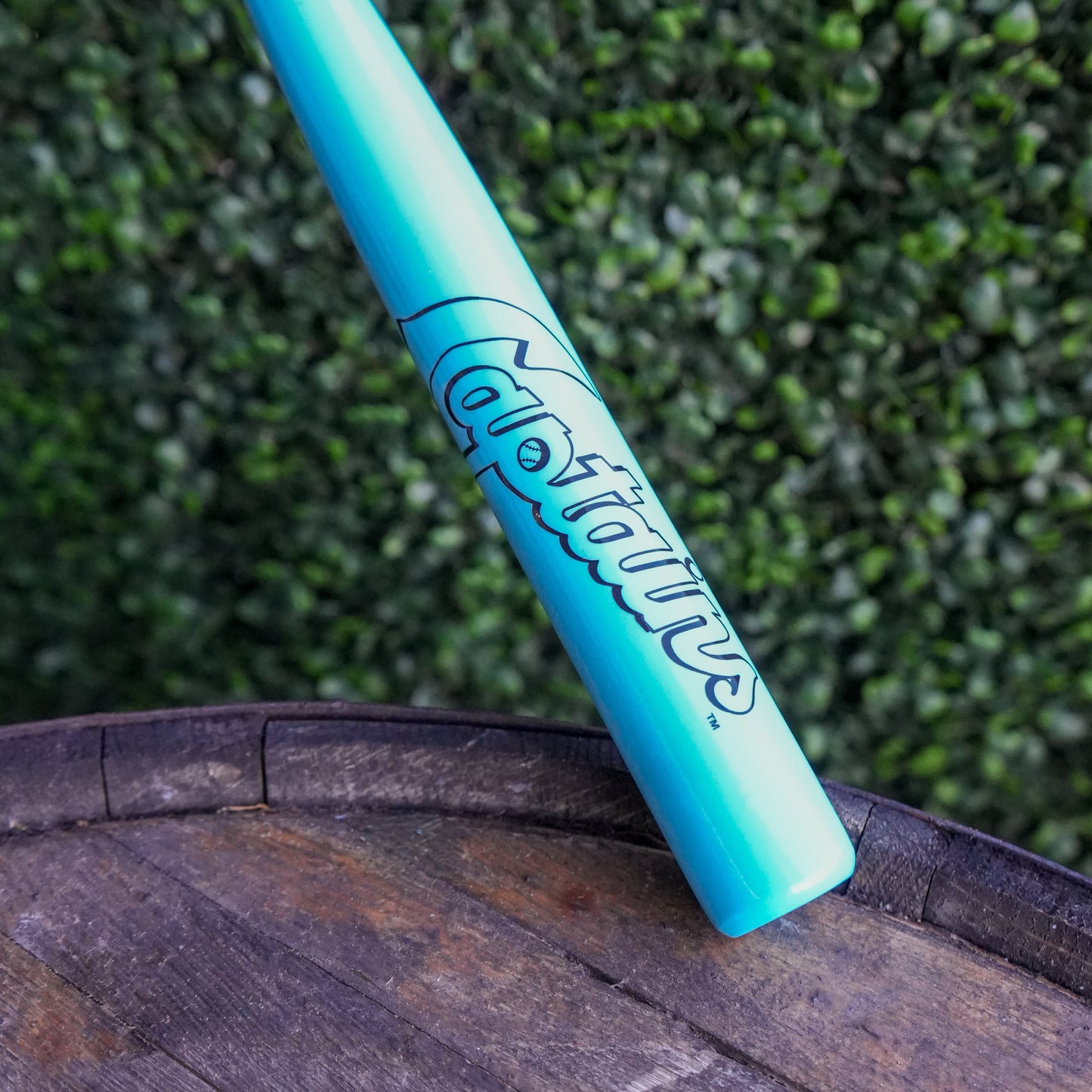 Light Saber Mini Bat