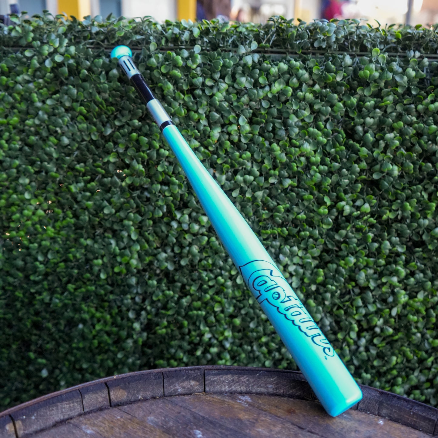 Light Saber Mini Bat