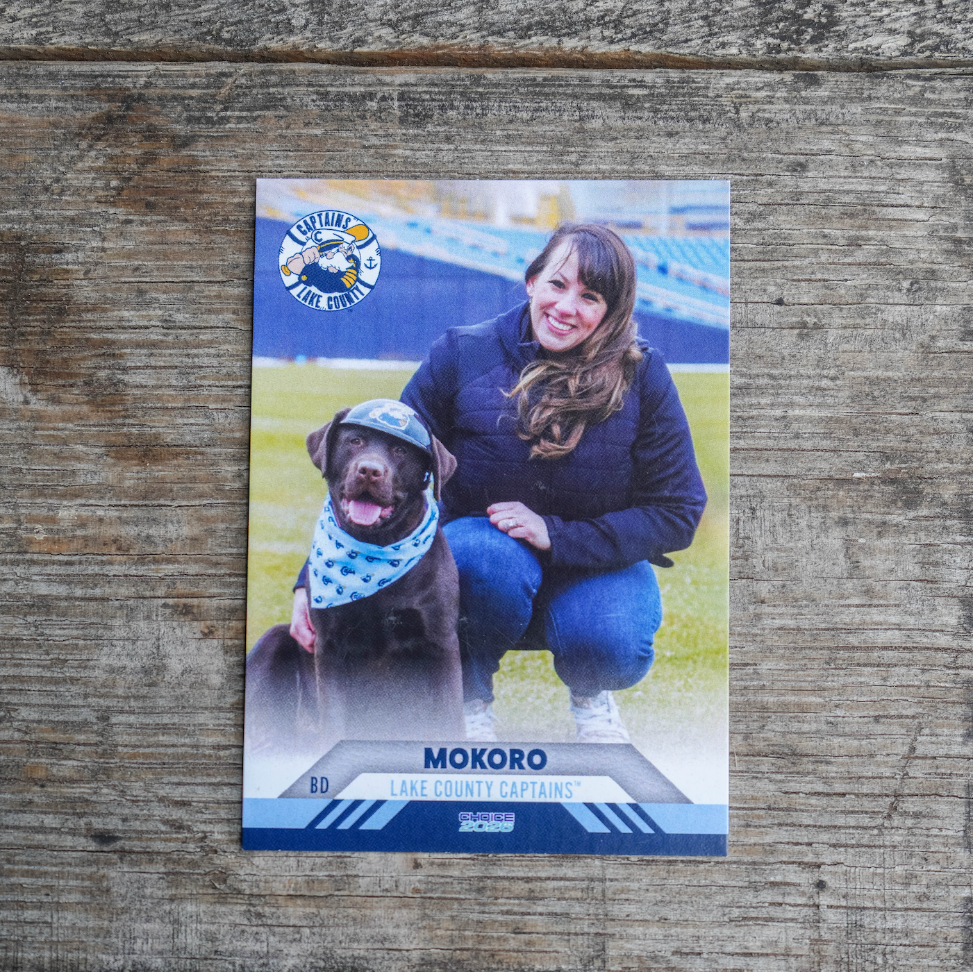 2026 Team Card Set