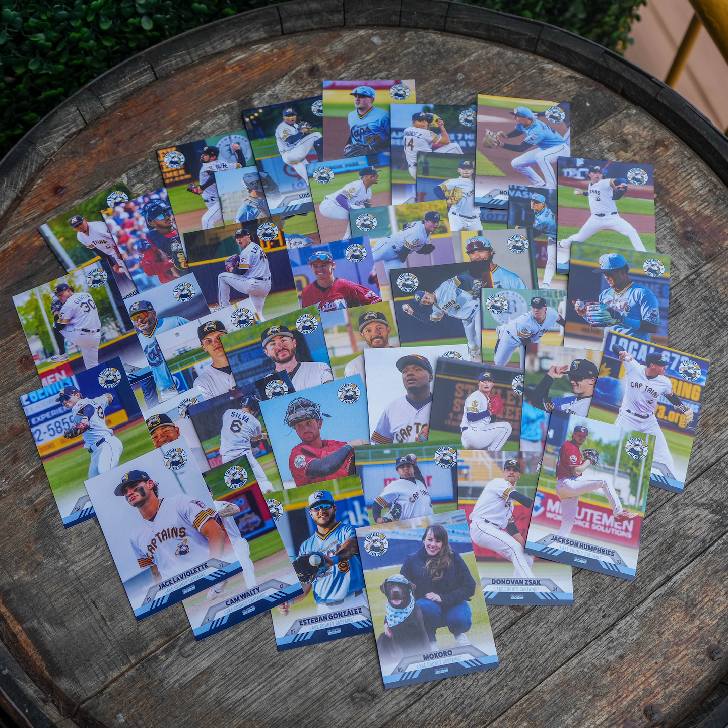 2026 Team Card Set